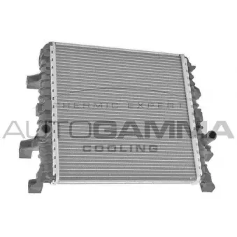 Radiateur, refroidissement du moteur AUTOGAMMA 107910