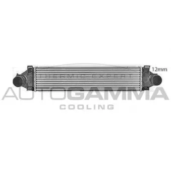 Intercooler, échangeur AUTOGAMMA 107915