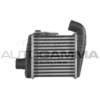 Intercooler, échangeur AUTOGAMMA 107918