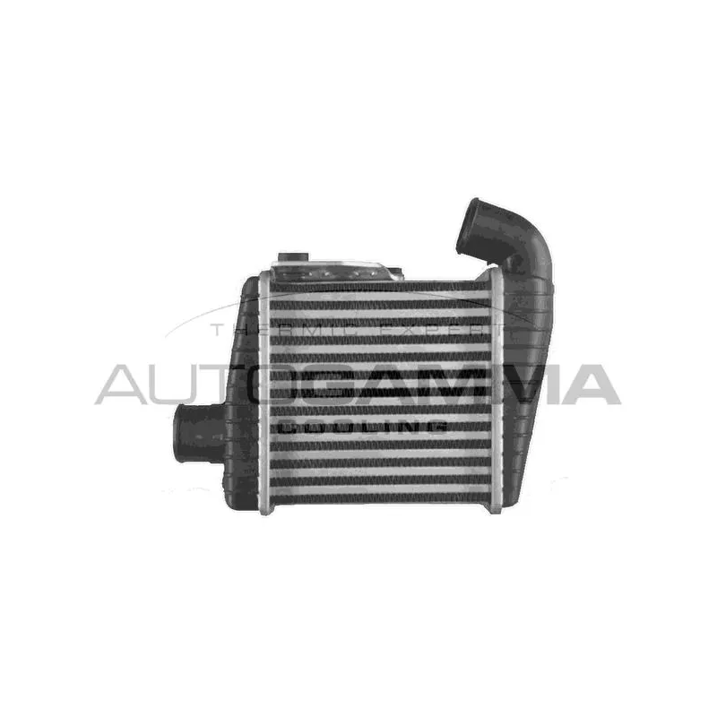 Intercooler, échangeur AUTOGAMMA 107918