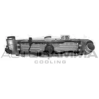 Intercooler, échangeur AUTOGAMMA