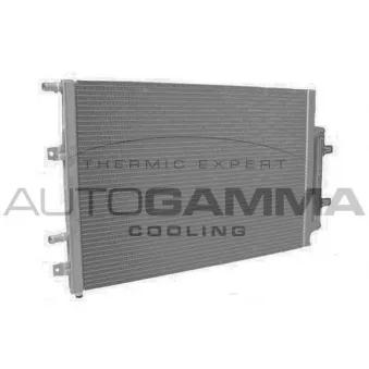 Radiateur, refroidissement du moteur AUTOGAMMA 107934