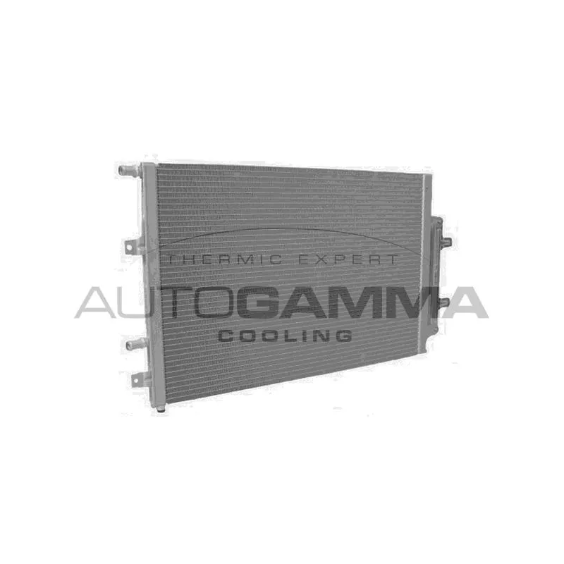Radiateur, refroidissement du moteur AUTOGAMMA 107934