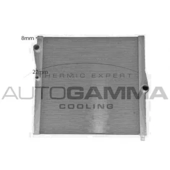Radiateur, refroidissement du moteur AUTOGAMMA 107936