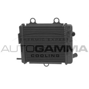 Radiateur, refroidissement du moteur AUTOGAMMA 107943