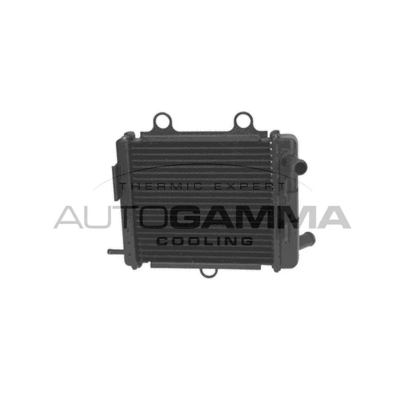 Radiateur, refroidissement du moteur AUTOGAMMA 107943