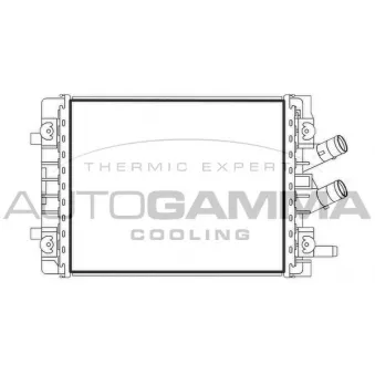 Radiateur, refroidissement du moteur AUTOGAMMA