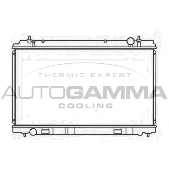 Radiateur, refroidissement du moteur AUTOGAMMA 107947