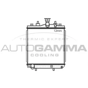 Radiateur, refroidissement du moteur AUTOGAMMA 107948