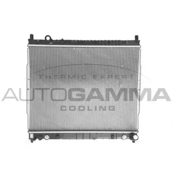 Radiateur, refroidissement du moteur AUTOGAMMA 107949