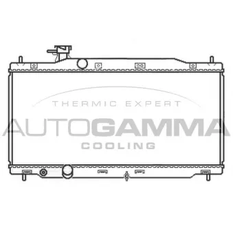 Radiateur, refroidissement du moteur AUTOGAMMA 107953
