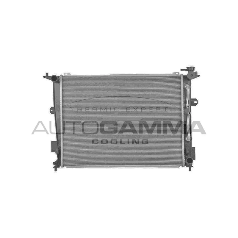 Radiateur, refroidissement du moteur AUTOGAMMA 107955