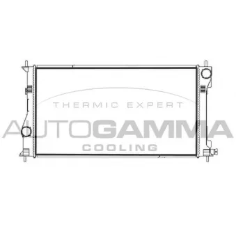 Radiateur, refroidissement du moteur AUTOGAMMA 107965