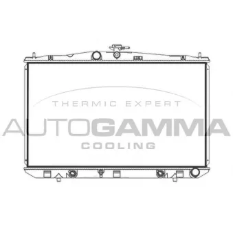 Radiateur, refroidissement du moteur AUTOGAMMA 107966