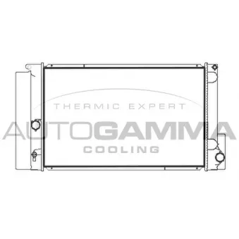Radiateur, refroidissement du moteur AUTOGAMMA 107967