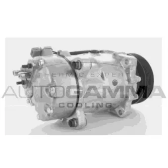 Compresseur, climatisation AUTOGAMMA 108001