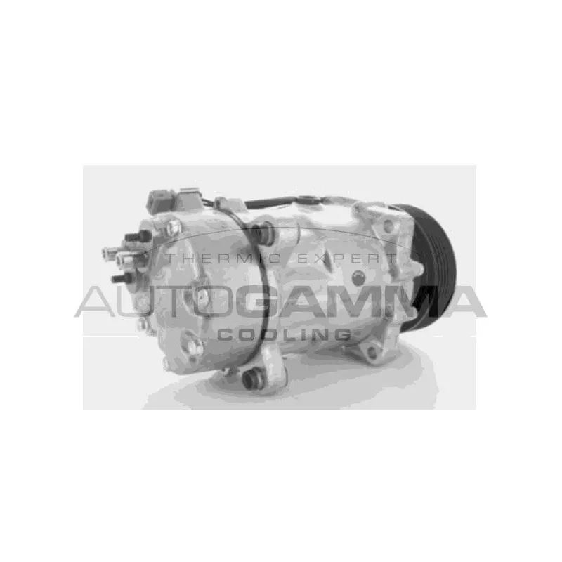 Compresseur, climatisation AUTOGAMMA 108001