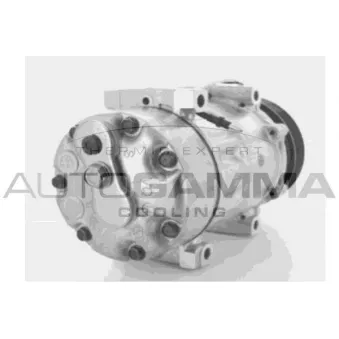 Compresseur, climatisation AUTOGAMMA 108009