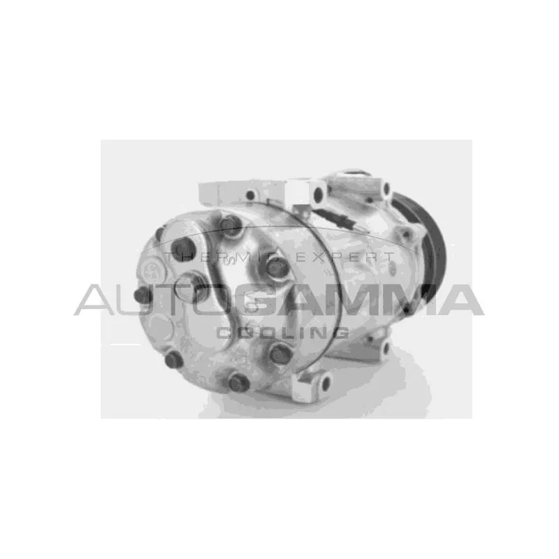 Compresseur, climatisation AUTOGAMMA 108009
