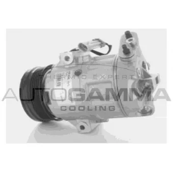Compresseur, climatisation AUTOGAMMA 108010