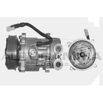 Compresseur, climatisation AUTOGAMMA 108011