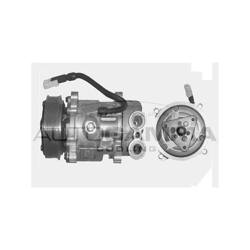 Compresseur, climatisation AUTOGAMMA 108011