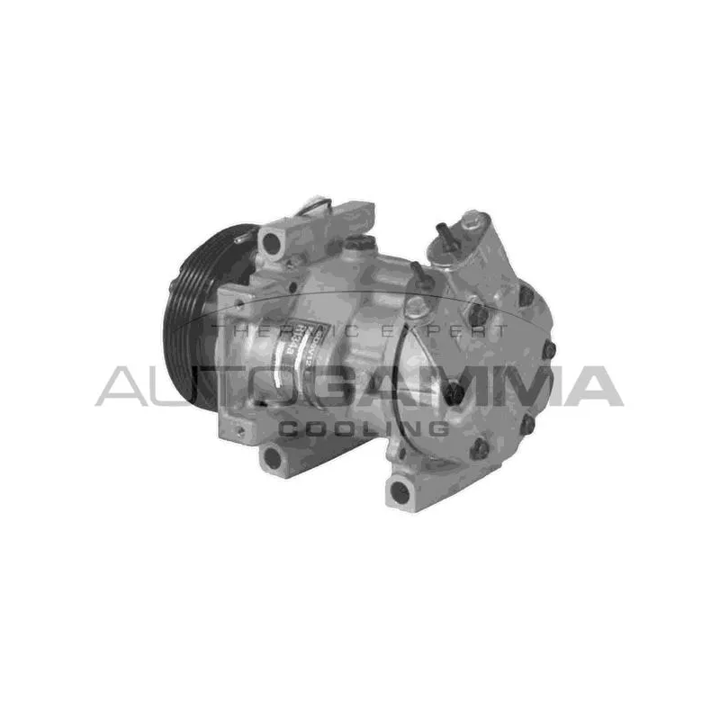 Compresseur, climatisation AUTOGAMMA 108014