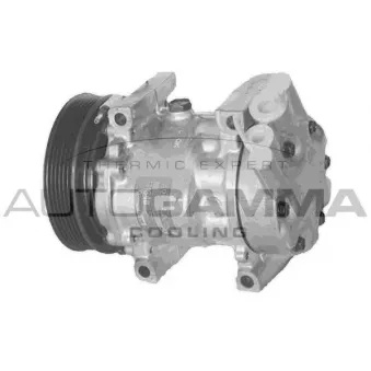 Compresseur, climatisation AUTOGAMMA 108015
