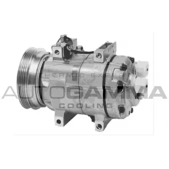Compresseur, climatisation AUTOGAMMA 108016