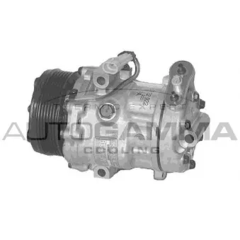 Compresseur, climatisation AUTOGAMMA 108019