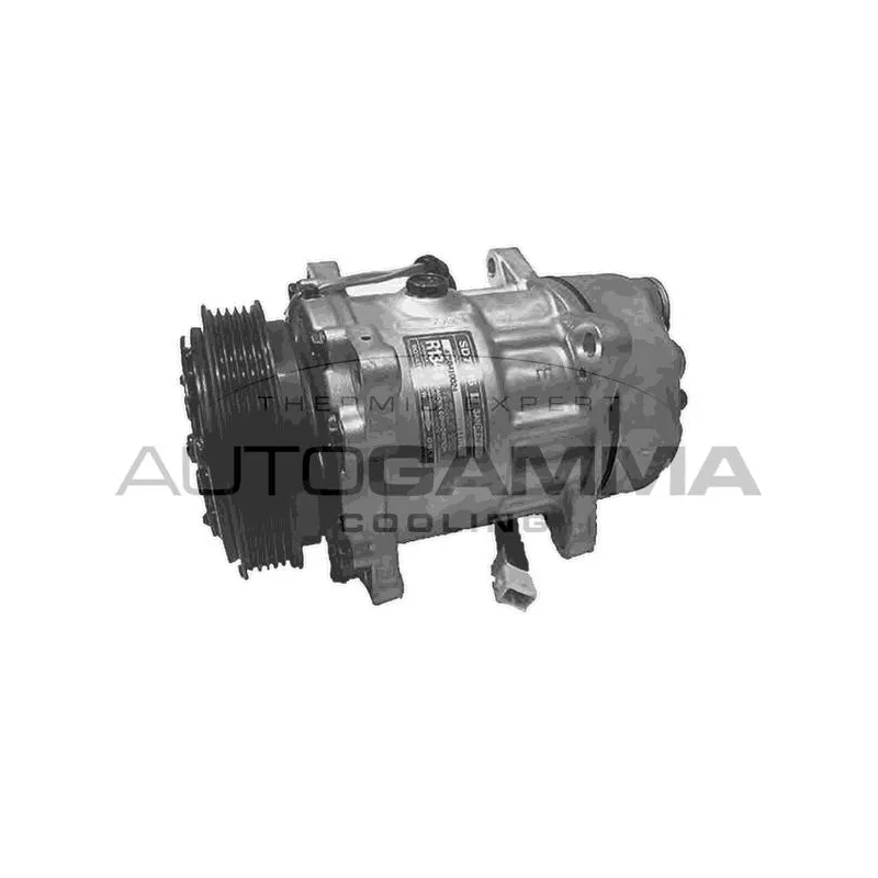 Compresseur, climatisation AUTOGAMMA 108021