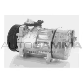 Compresseur, climatisation AUTOGAMMA 108025