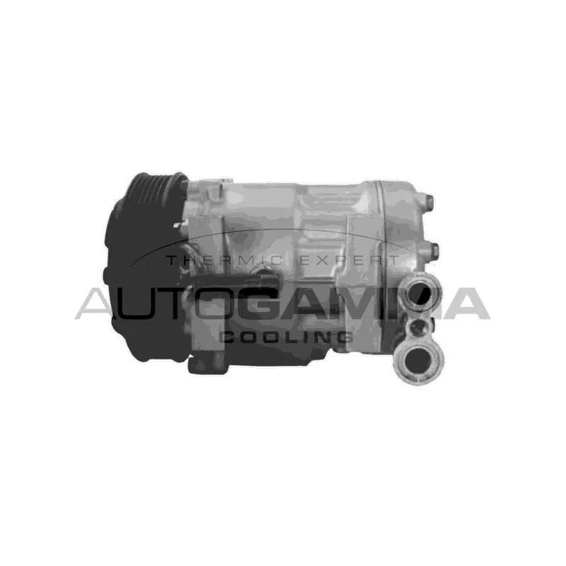 Compresseur, climatisation AUTOGAMMA 108028