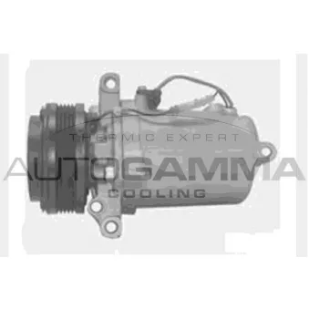 Compresseur, climatisation AUTOGAMMA 108030