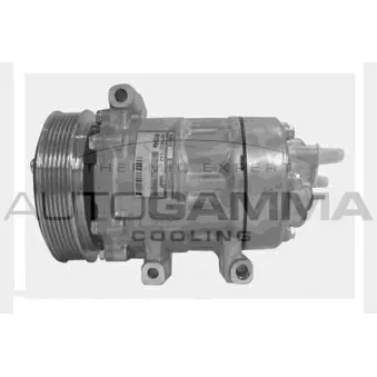 Compresseur, climatisation AUTOGAMMA 108031