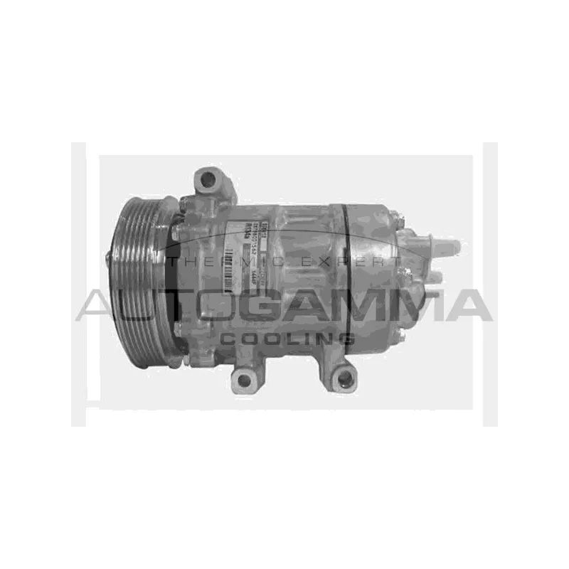 Compresseur, climatisation AUTOGAMMA 108031