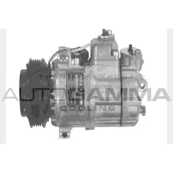 Compresseur, climatisation AUTOGAMMA 108033