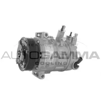 Compresseur, climatisation AUTOGAMMA 108041