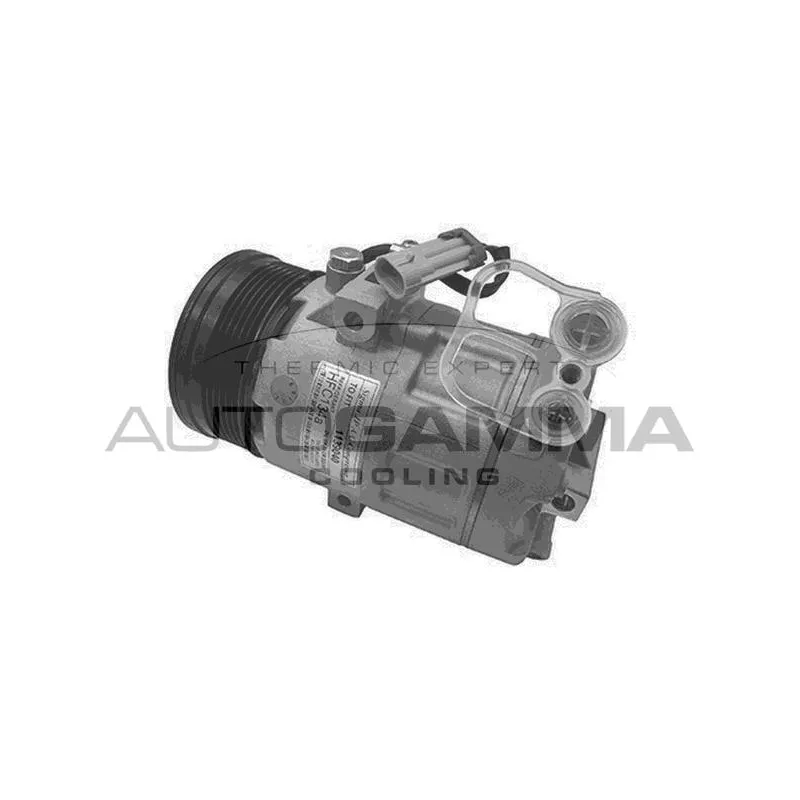 Compresseur, climatisation AUTOGAMMA 108043