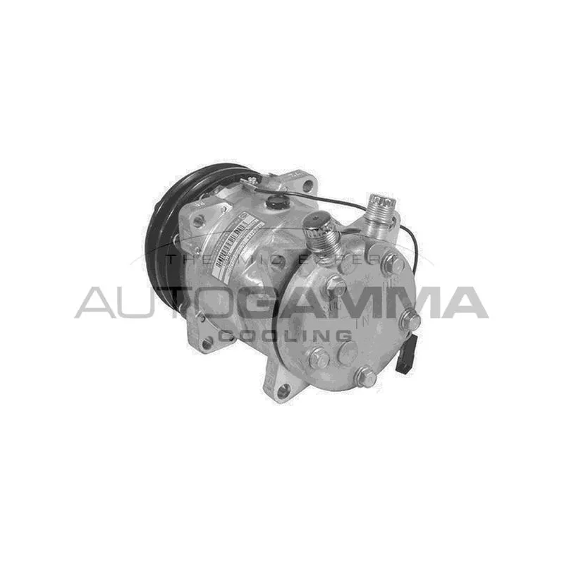 Compresseur, climatisation AUTOGAMMA 108070