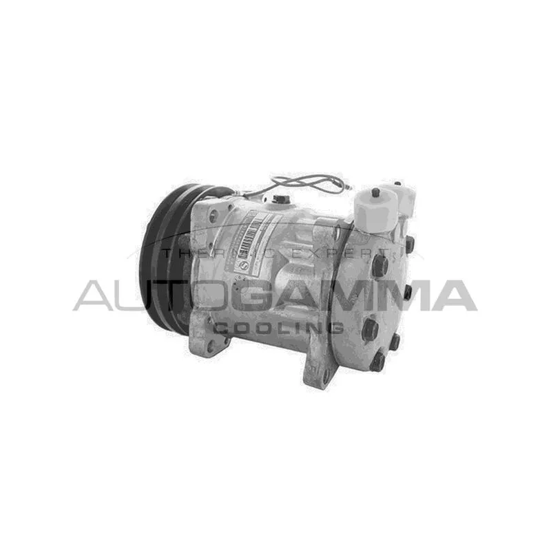 Compresseur, climatisation AUTOGAMMA 108071