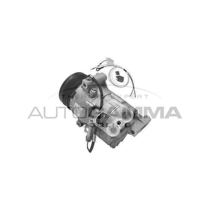 Compresseur, climatisation AUTOGAMMA 108072