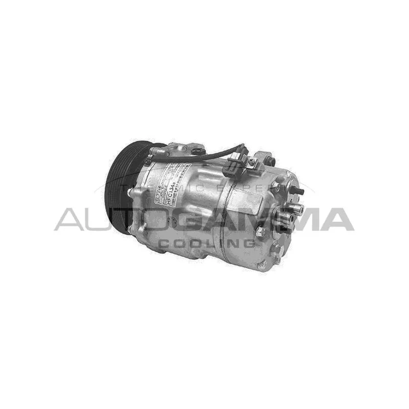 Compresseur, climatisation AUTOGAMMA 108098