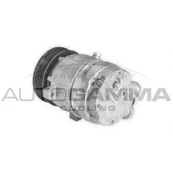 Compresseur, climatisation AUTOGAMMA 108139