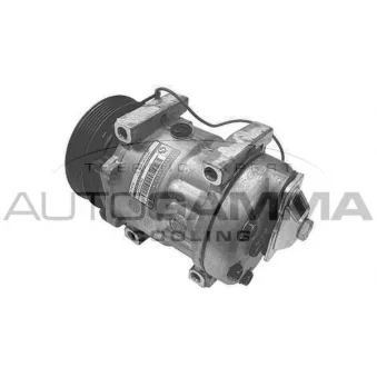 Compresseur, climatisation AUTOGAMMA 108141