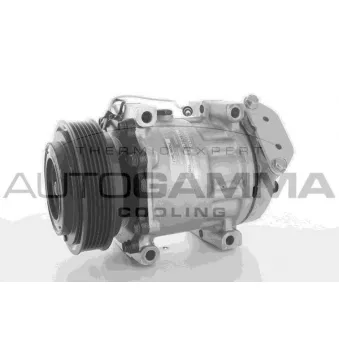 Compresseur, climatisation AUTOGAMMA 108142