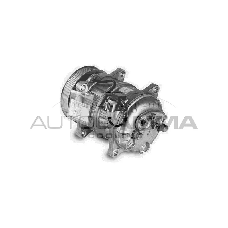 Compresseur, climatisation AUTOGAMMA 108161