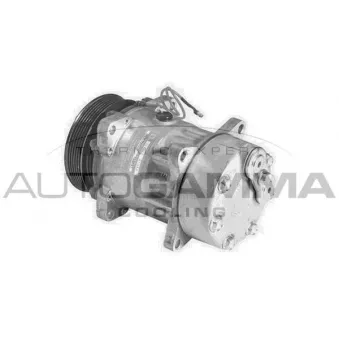 Compresseur, climatisation AUTOGAMMA 108166