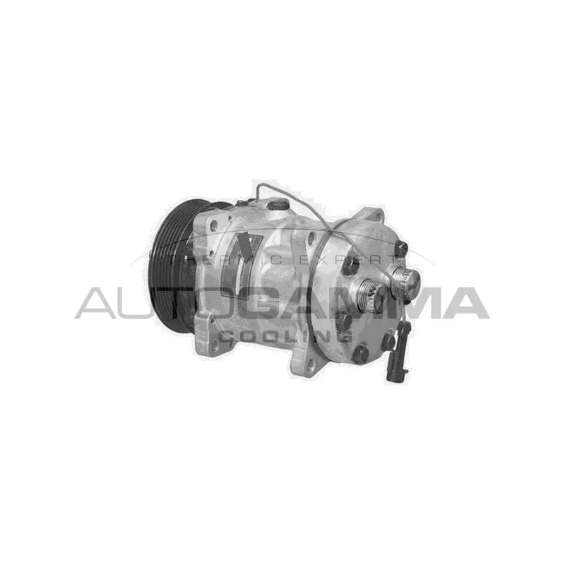 Compresseur, climatisation AUTOGAMMA 108167