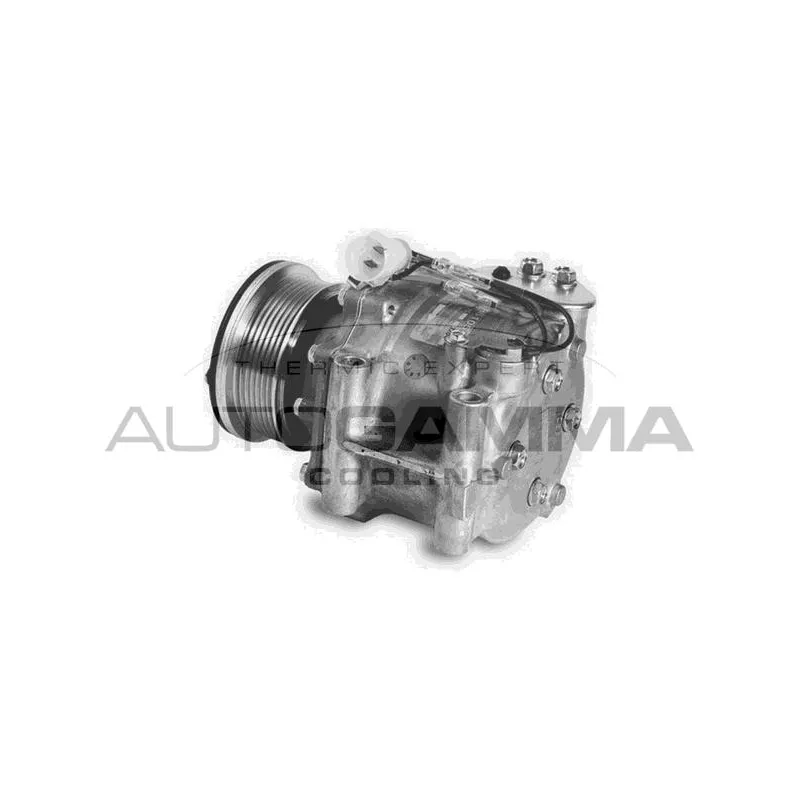 Compresseur, climatisation AUTOGAMMA 108175